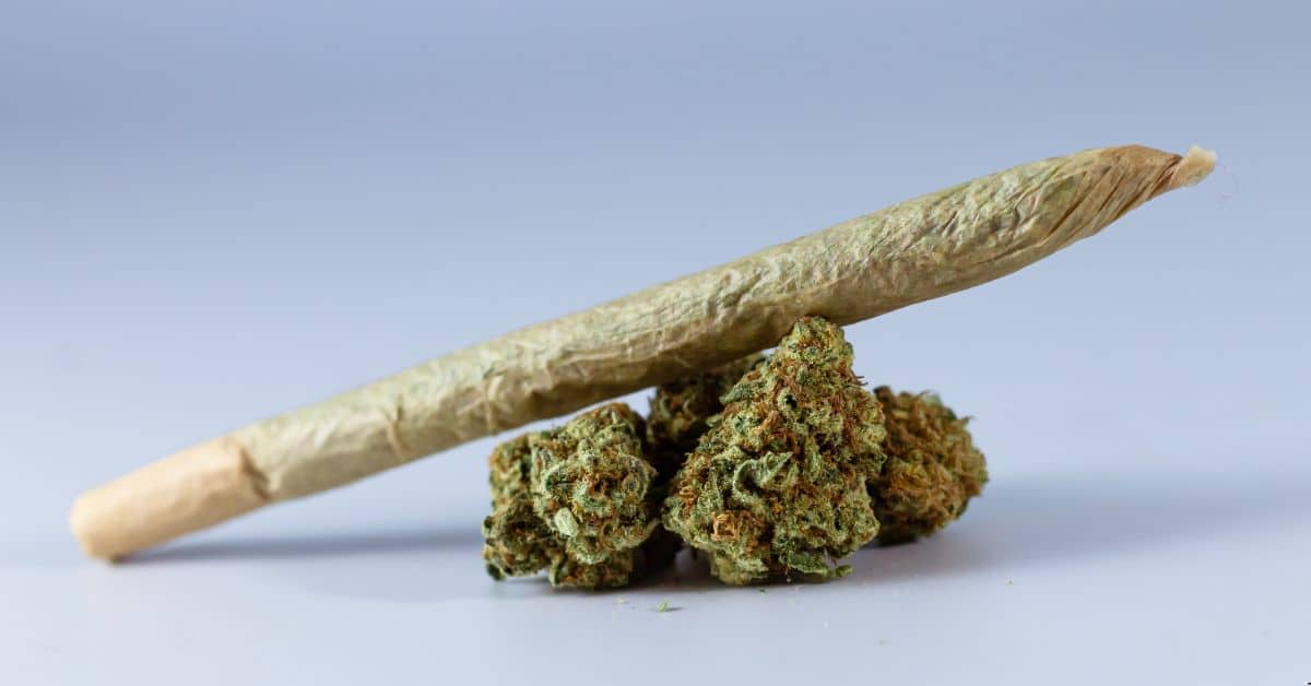 how long weed stays in your system